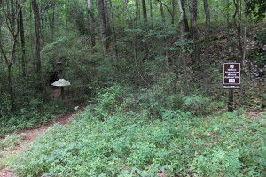 Ruffner Mountain Nature Preserve. Raised BMRR roadbed is behind sign, and stone culvert is on left behind birdhouse.
