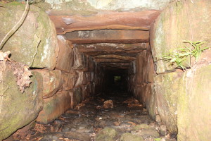 Downstream end of culvert. James Lowery, July 22, 2015