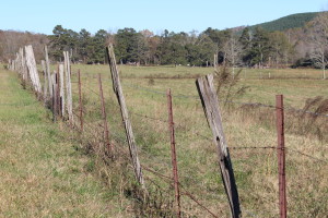 Fence posts across field from low trestle probably are former BMRR crossties. James Lowery, November 14, 2015