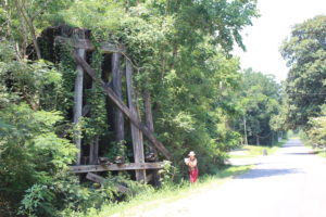 Trestle on BMRR Spur from Palmers to Bradford Mines